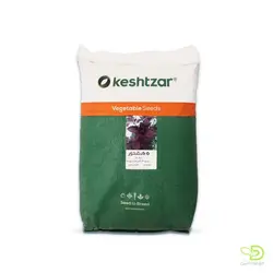 خرید بذر ریحان بنفش کشتزار - مزرعه دانش - فروش بذر،سم، کود و ابزارآلات