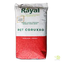 خرید بذر ذرت دو منظوره کروزو رایال (Coruxxo F1) - مزرعه دانش - فروش بذر،سم، کود و ابزارآلات