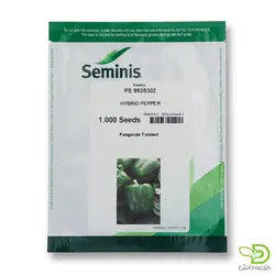 بذر فلفل دلمه 302 سمینیس (PS9928302) - مزرعه دانش - فروش آنلاین بذر،سم، کود و ابزارآلات