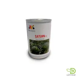 بذر هندوانه ساترن میکادو