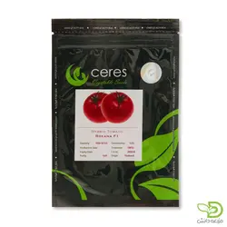 بذر گوجه رکسانا - مزرعه دانش - فروش آنلاین بذر،سم، کود و ابزارآلات