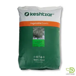 بذر مرزه کشتزار