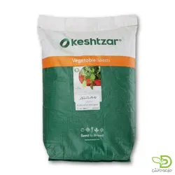 بذر شنبلیله پابلند کشتزار