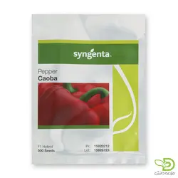 بذر فلفل دلمه رنگی کائوبا سینجنتا - مزرعه دانش - فروش آنلاین بذر،سم، کود و ابزارآلات