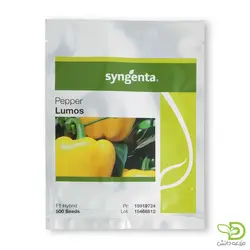 بذر فلفل دلمه رنگی لوموس سینجنتا - مزرعه دانش - فروش آنلاین بذر،سم، کود و ابزارآلات