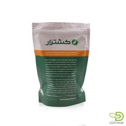 بذر لوبیا سبز کشتزار