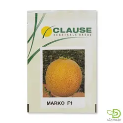 بذر خربزه گالیا مارکو کلوز
