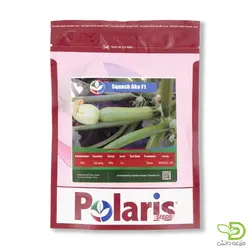 بذر کدو خورشتی آکو پولاریس