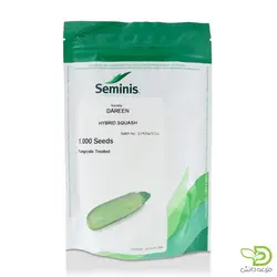 بذر کدو خورشتی دارین سمینیس