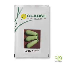 بذر کدو خورشتی اسما کلوز | خرید اینترنتی انواع بذر | مزرعه دانش