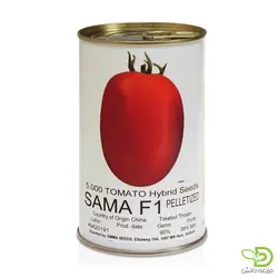 بذر گوجه سما اماسیدز