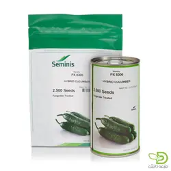 بذر خیار 8306 (PX8306) سمینیس
