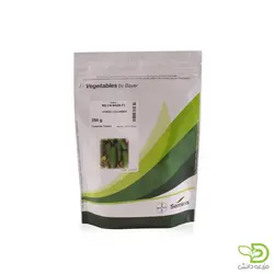 بذر خیار دو ان (2N) سمینیس