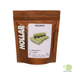 بذر کدو خورشتی الکساندریا | بذر کدوی هیبرید آلکساندریا هولار