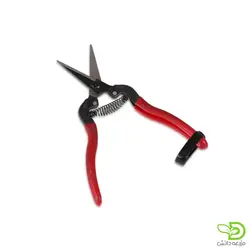 قیچی میوه چینی انگور - مزرعه دانش | فروشگاه اینترنتی بذر، سم، کود و ابزارآلات