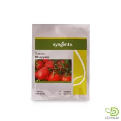 خرید بذر گوجه فرنگی خیام