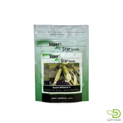 بذر کدو خورشتی ریندالا | فروش اینترنتی انواع بذر | مزرعه دانش