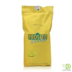 بذر لوبیا سبز سان ری پروسید | فروش اینترنتی انواع بذر | مزرعه دانش