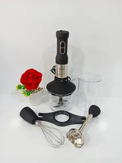 گوشتکوب برقی چندکاره دسینی مدل HB100 | دیاناکالا