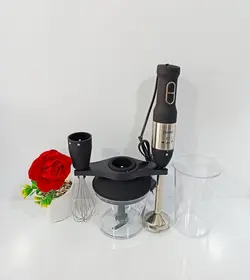 گوشتکوب برقی چندکاره دسینی مدل HB100 | دیاناکالا