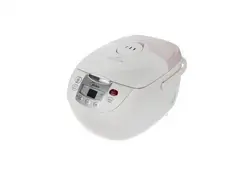 پلوپز مایدیا مدل RCF706DS | دیاناکالا