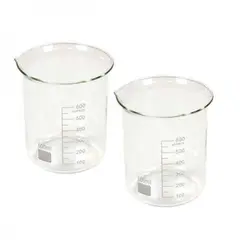 بشر شیشه ای