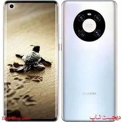 هواوی 40E میت 40 ایی , Huawei Mate 40E
