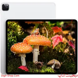 اپل آیپد پرو 12.9 2020 , Apple iPad Pro 12.9 2020