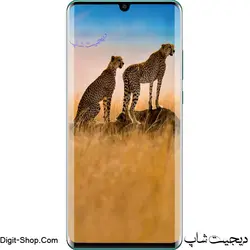 هواوی P30 پی 30 پرو نیو ادیشن , Huawei P30 Pro New Edition