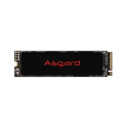 اس اس دی ازگارد مدل AN2 M.2 2280 NVMe ظرفیت 250 گیگابایت