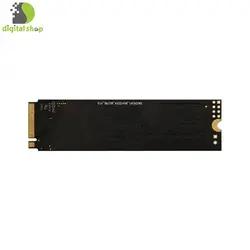اس اس دی ازگارد مدل AN2 M.2 2280 NVMe ظرفیت 250 گیگابایت