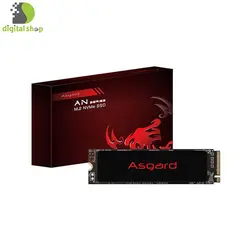 اس اس دی ازگارد مدل AN2 M.2 2280 NVMe ظرفیت 250 گیگابایت