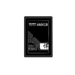اس اس دی گلووی مدل FER series ظرفیت 480 گیگابایت