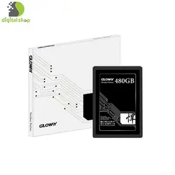 اس اس دی گلووی مدل FER series ظرفیت 480 گیگابایت
