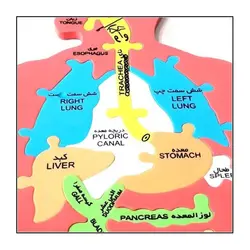 پازل فومی بدن انسان