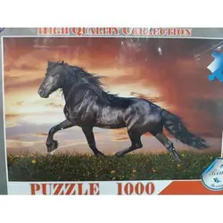 پازل 1000 تکه مدل رینگ