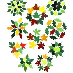 پک برگ نمدی