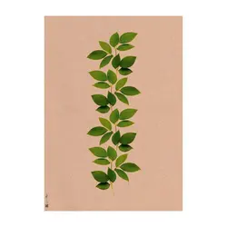 کاغذ کادو کرافت برگ سبز (کد174)