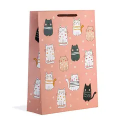 ساک دستی سایز 3 (کد3238)