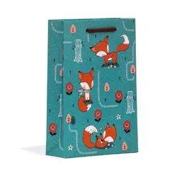 ساک دستی سایز 2 (کد 2242)