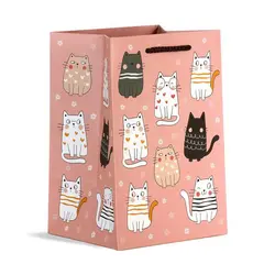 ساک دستی سایز 5 (کد5238)