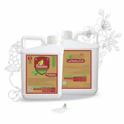 کود-مایع-آمینو-اسید-فولامین-حجم-5-لیتری