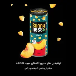 سانی نس قوطی هلو  240 سی سی(17)