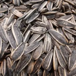 تخمه آفتابگردان اعلا