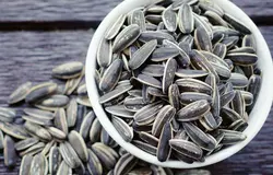 تخمه آفتابگردان با سس رنچ خوان چین  (10 کیلویی)