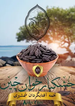 تخمه شمشیری اعلا خوان چین  (8 کیلویی)