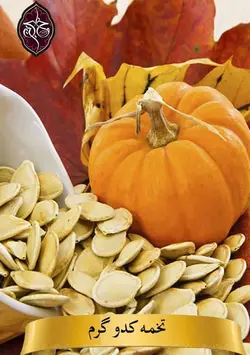 تخمه کدو بستکی خوان چین (5 کیلویی)