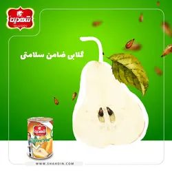 شهدین کمپوت گلابی کلیدی *