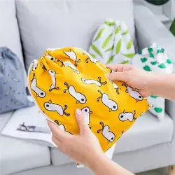 کاور لوازم مسافرتی