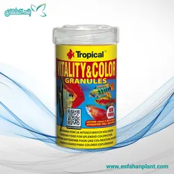 غذای گرانول تقویت رنگ ماهی ویتالیتی کالر تروپیکال (۲۵۰ میل)  Tropical Granulat Vitality & Color